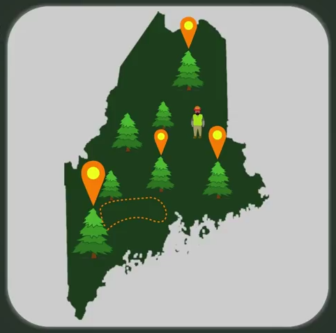 brown_ben_forestry_finder